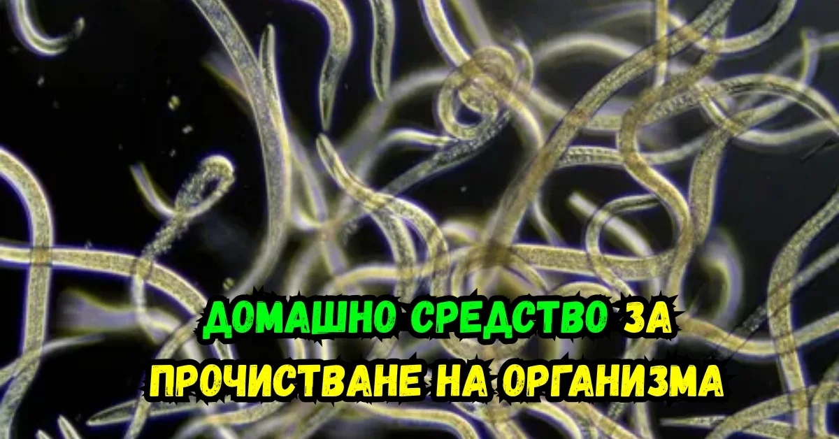 Железо и енергия