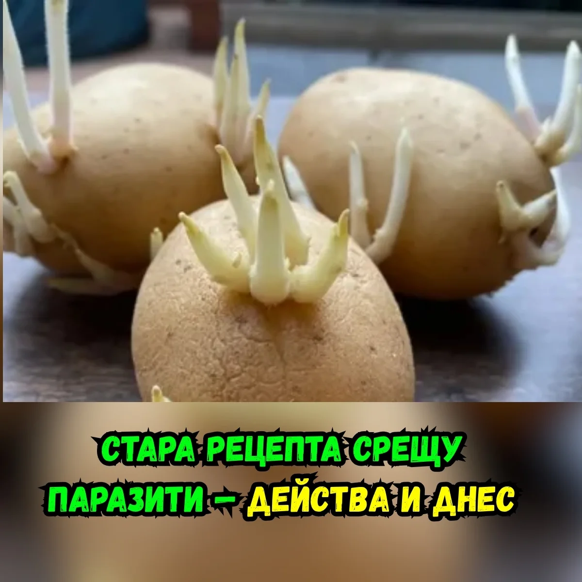 Цинк и имунитет