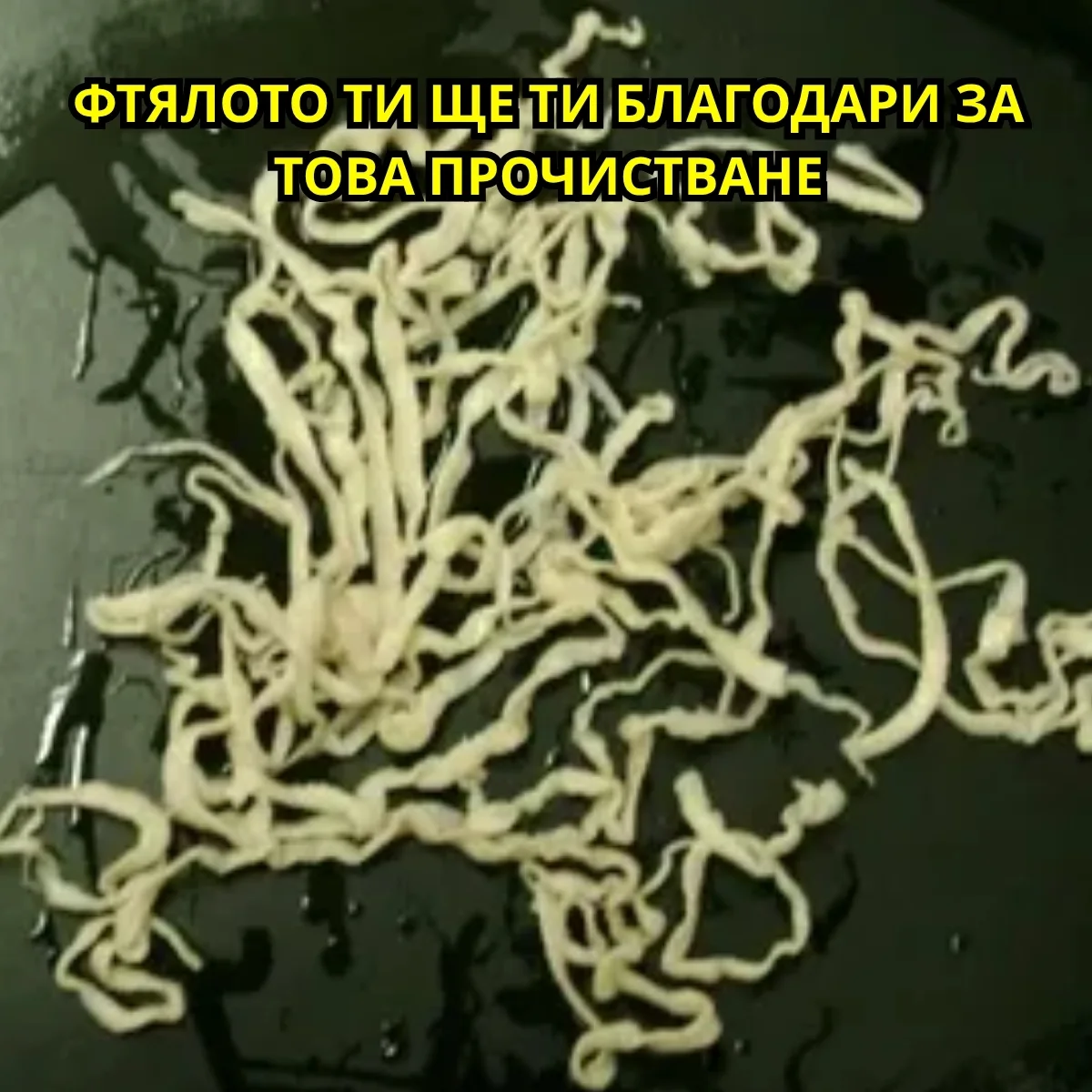 B Витамини и метаболизъм