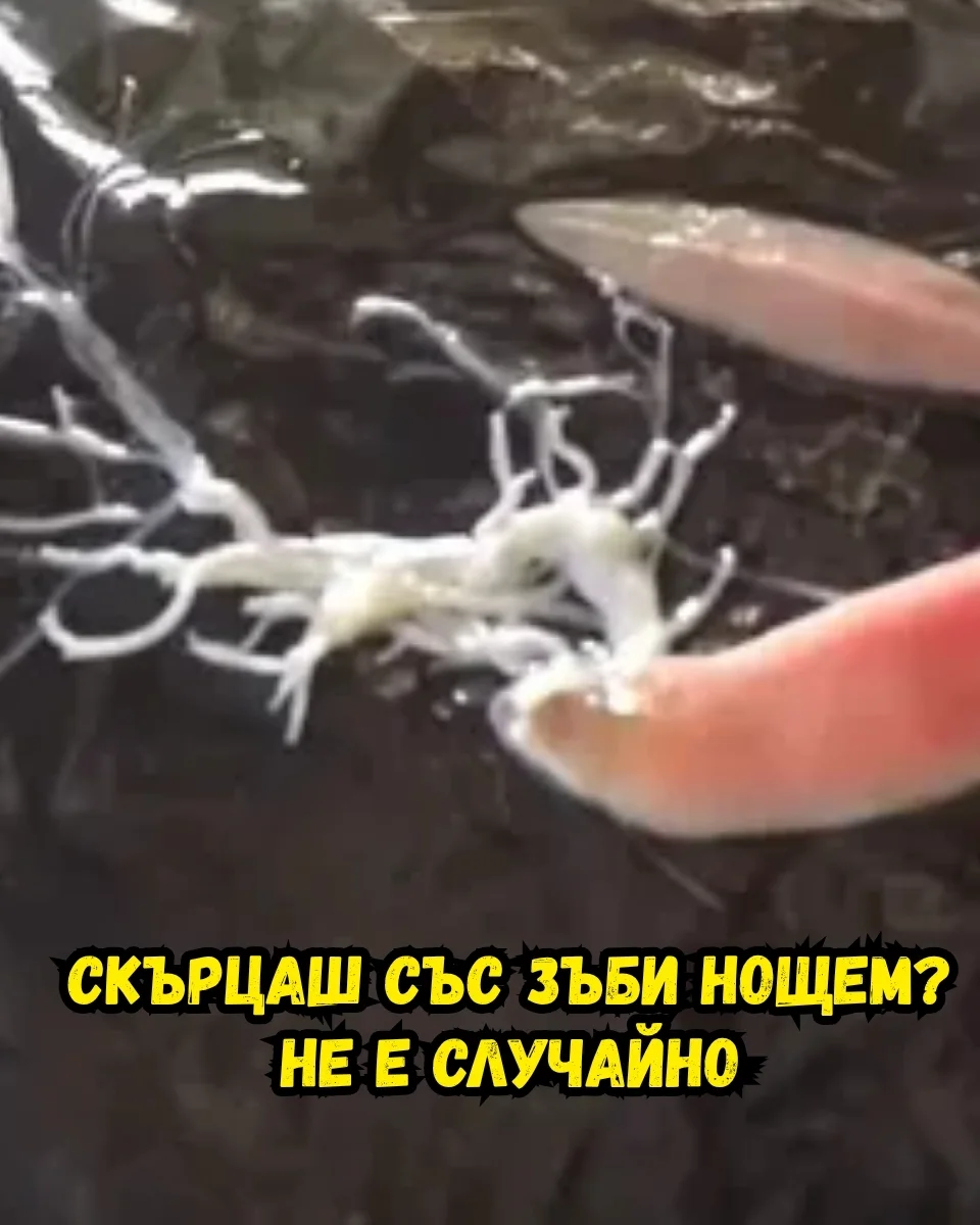 Калций и кости