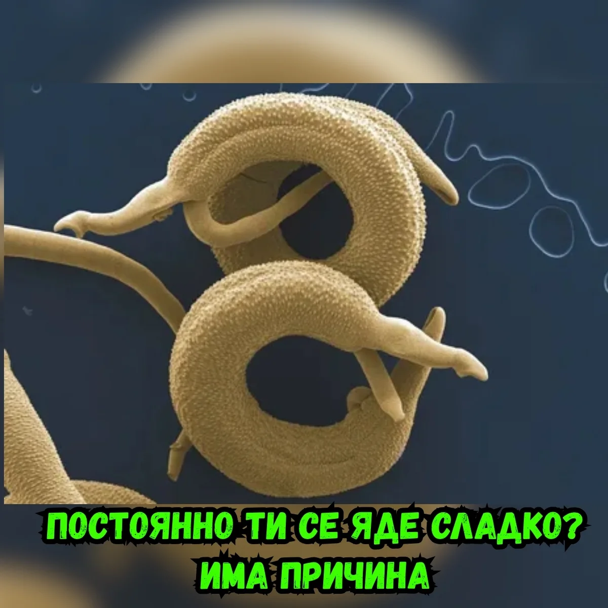 Как работят природните витамини в тялото